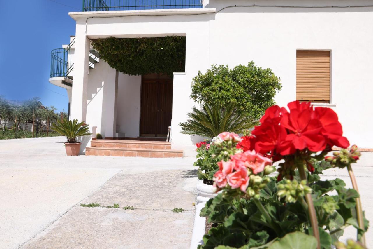 B&B Vannefora San Nicola Arcella Exterior foto